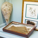 Guanti in bisso marino commissionati da Federico II di Borbone - Foto B. Bruchi